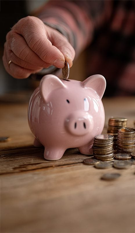 Piggy Bank 465x800